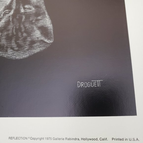 Vintage 70s Droguett Kitten Reflection Print Art Cute - Picture 3 of 12
